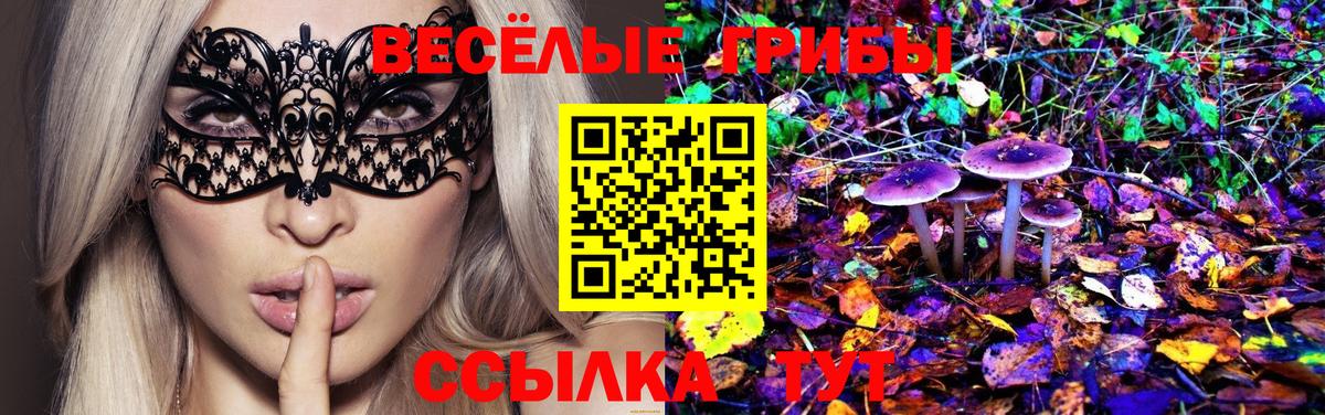 Нягань  Галлюциногенные грибы GOLDEN TEACHER  Вход с VPN 
